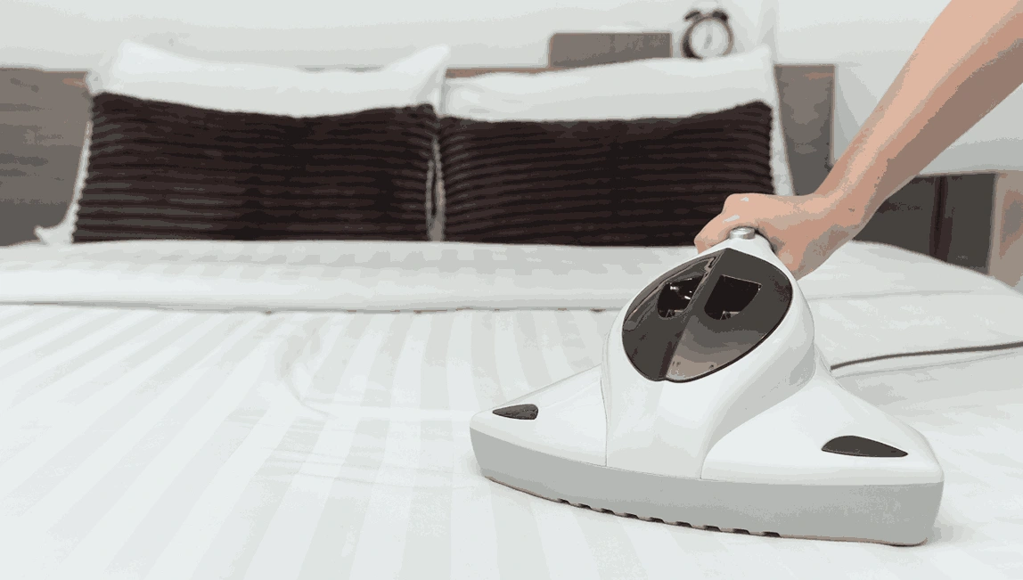 Professional Mattress Cleaning Coimadai
